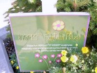 photos2010002873