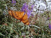 photos2010002876