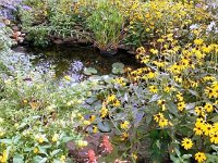 photos2010002878