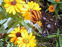 photos2010002881