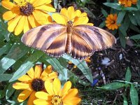 photos2010002882