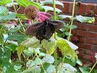 photos2010002886