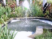 photos2010002888