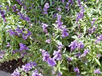 photos2010002893