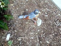 photos2010002909
