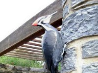 photos2010002910