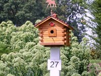 photos2010002913