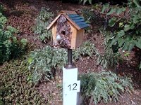 photos2010002917