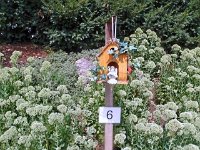 photos2010002923