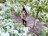 photos2010002931