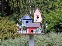 photos2010002933
