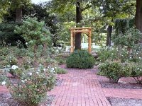 photos2010002946