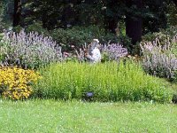 photos2010002947
