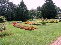 photos2010002955