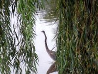 photos2010002719