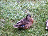 photos2010002730