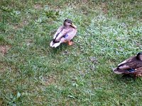 photos2010002741