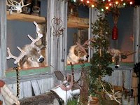 photos2010002757