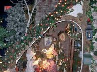 photos2010002775