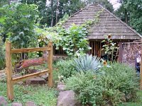 photos2010002622