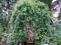 photos2010002629