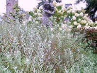 photos2010002635