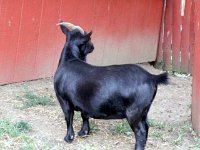 photos2010002987