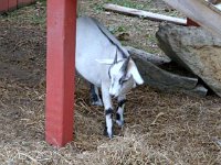 photos2010002988