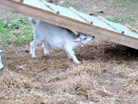 photos2010002989