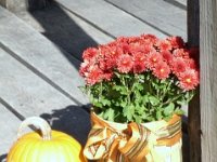photos2010003027