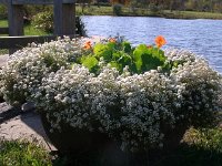 photos2010003045