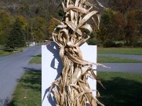 photos2010003056