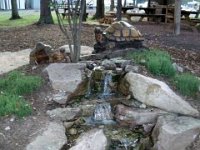 photos2010003082