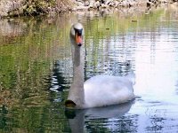 photos2010003165