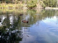 photos2010003166