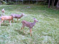 photos2010003186