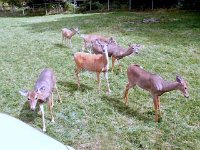 photos2010003187