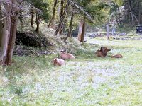 photos2010003188