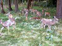 photos2010003190