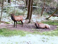 photos2010003192