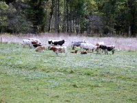 photos2010003199