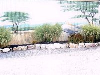 photos2010003216