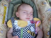 photos2010003383