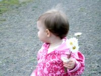 photos2011000206