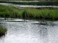 photos2011000209