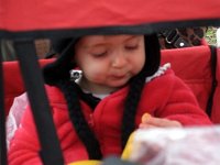 photos2011000230