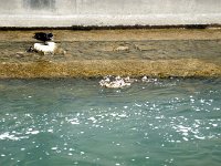photos2011000288