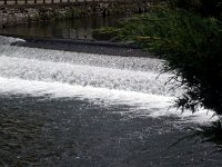 photos2011000289