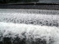 photos2011000295