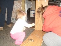 photos2011001135